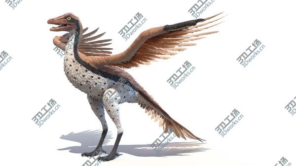 images/goods_img/20210312/Archaeopteryx Animated 3D/3.jpg